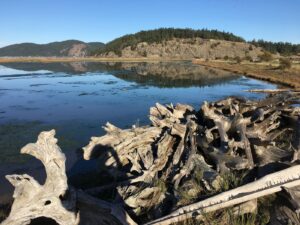 Read more about the article In Washington’s San Juan Islands, an expedition cruise and wondrous hiking