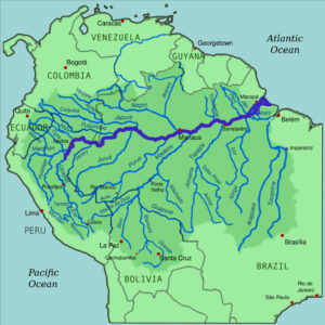 Read more about the article What is the Difference Between the Peruvian and Brazilian Amazon?